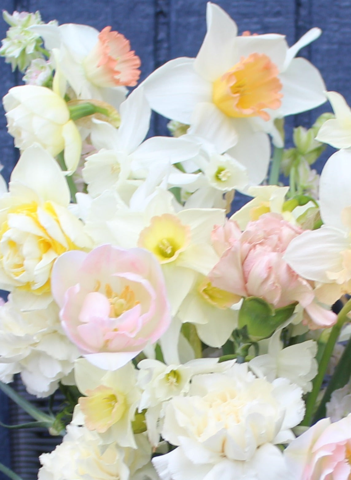 The Perfect Gift! Preorder: Mid-April to Mid-May 2024 Four Week Floral Subscription ($30 per Bouquet!)