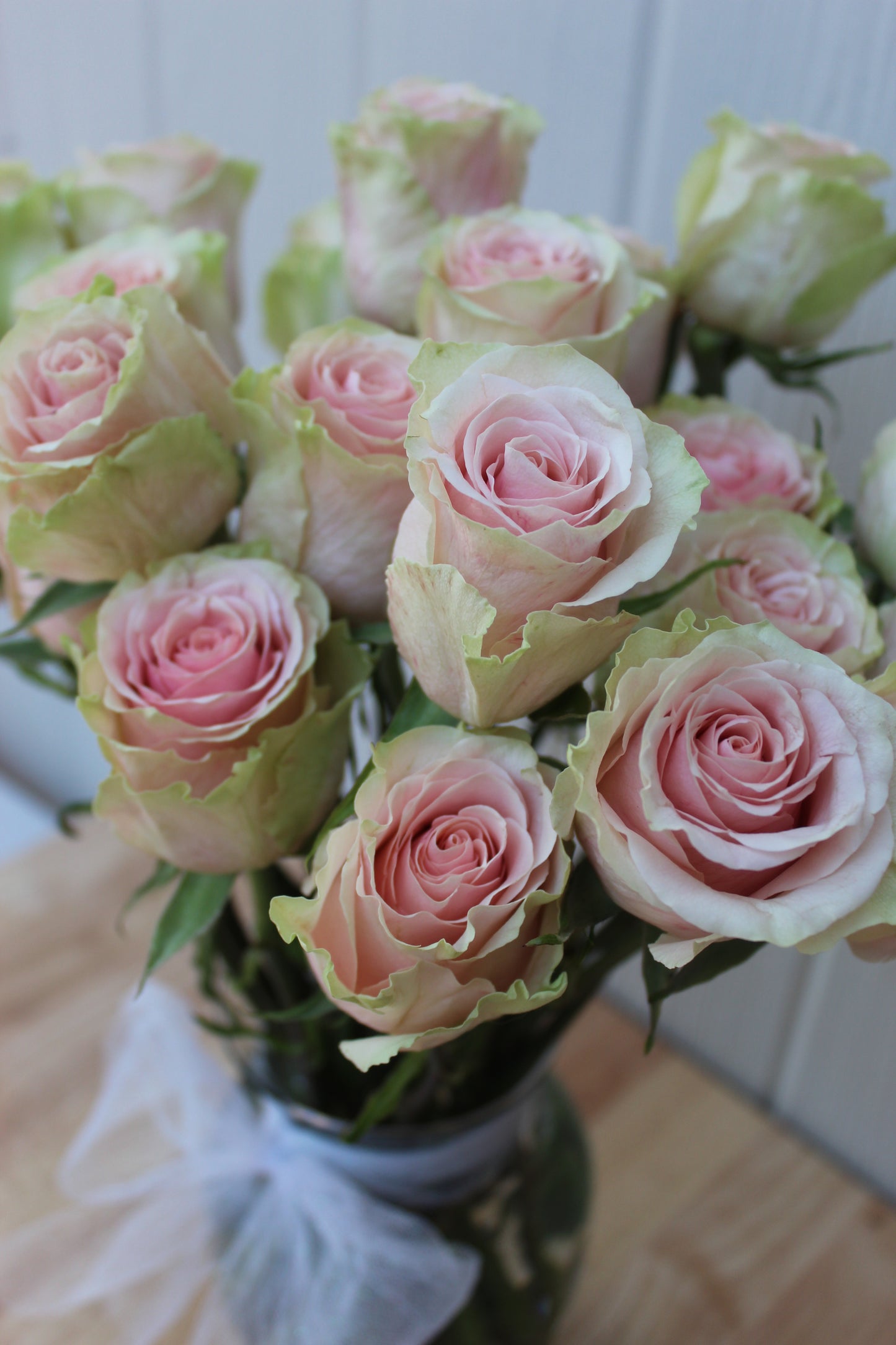 2 dozen roses