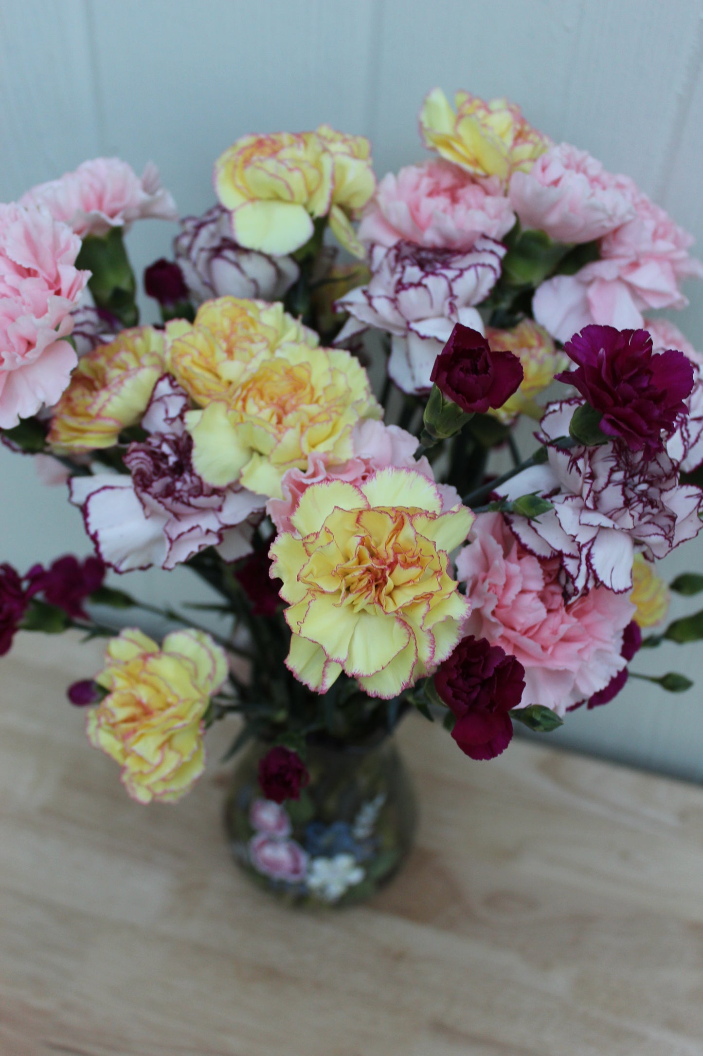 carnations