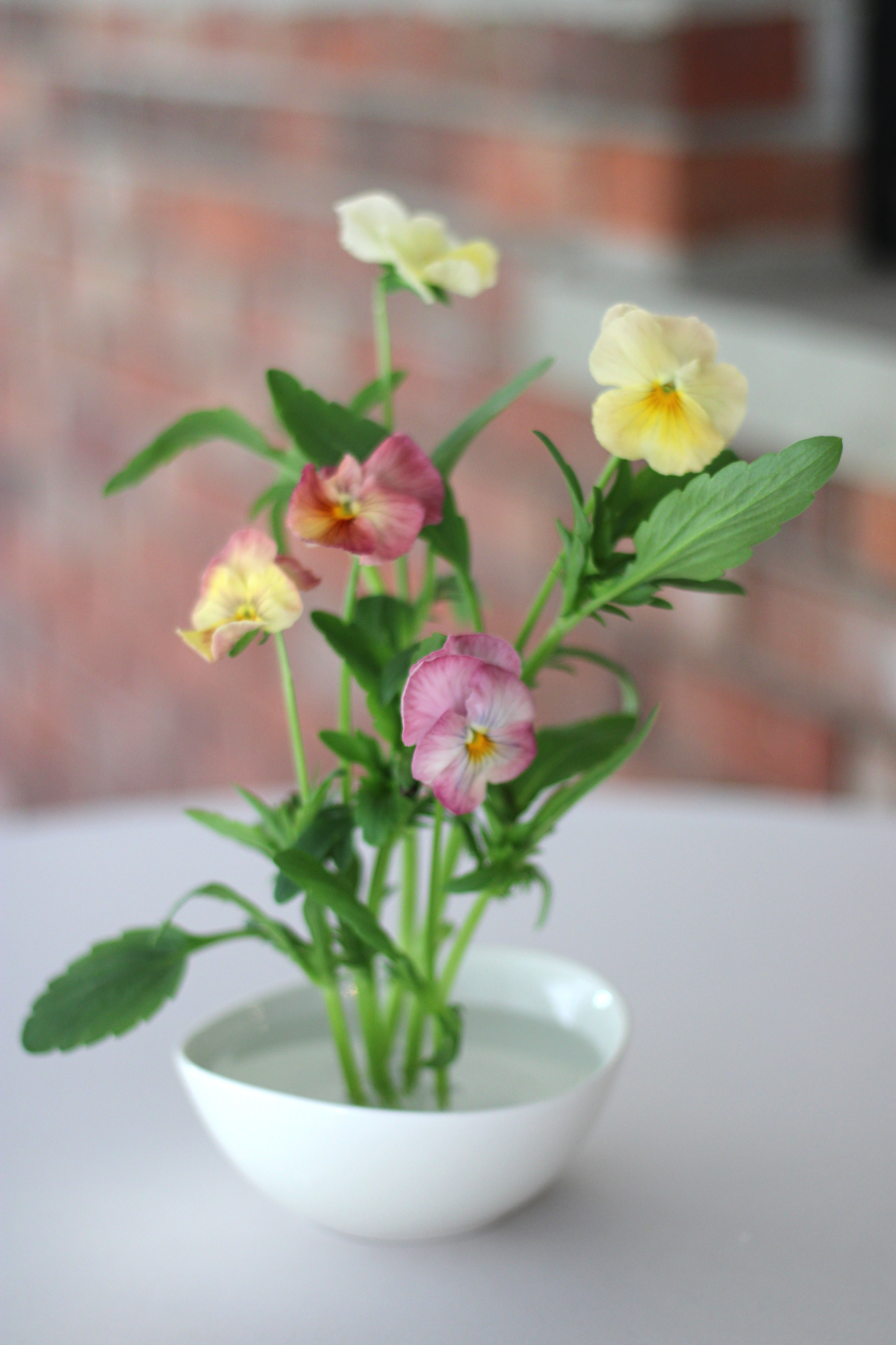 centerpieces "growing from table" at the Oak Room, B's Flowers