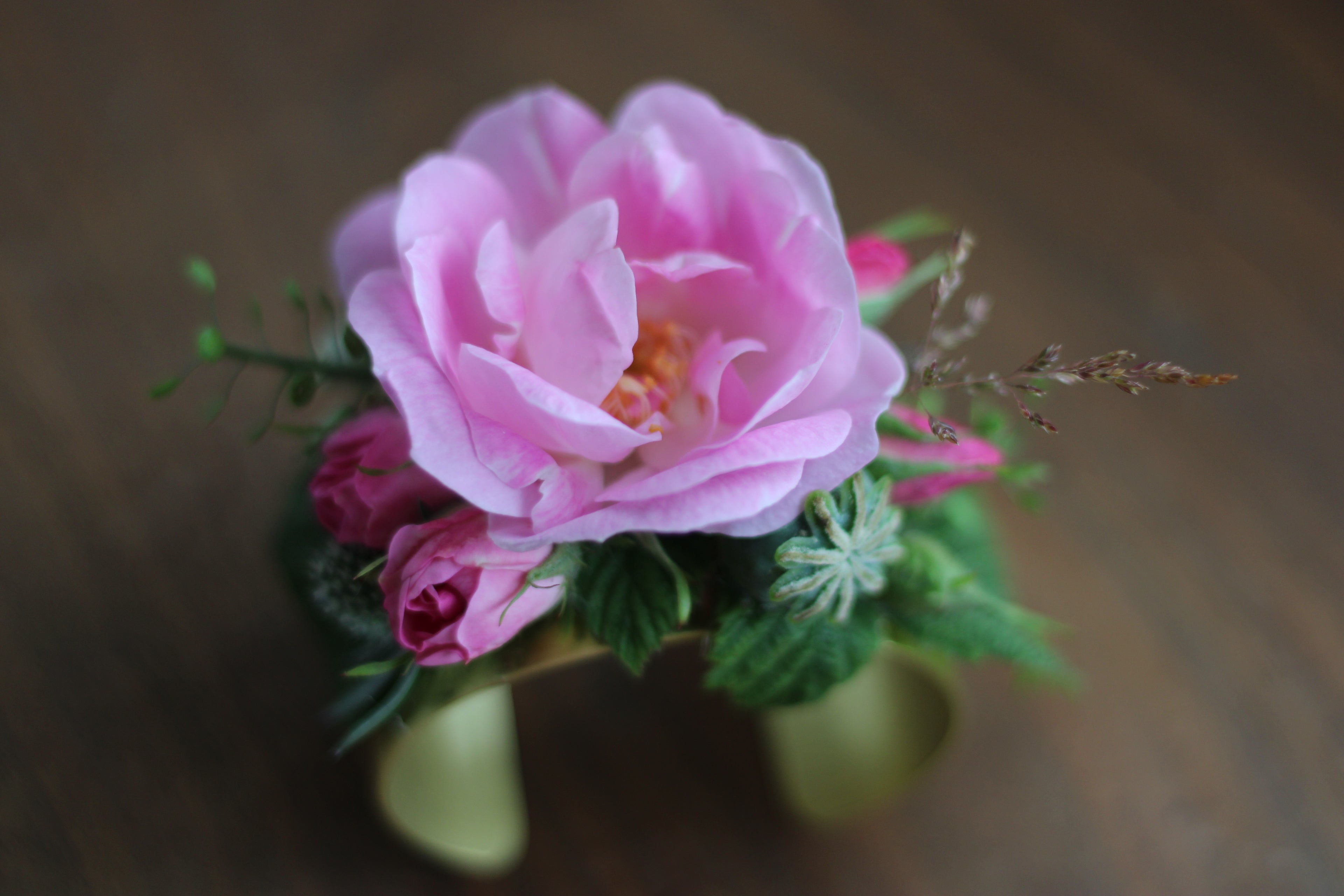 corsage by b's flowers in Gasport, NY