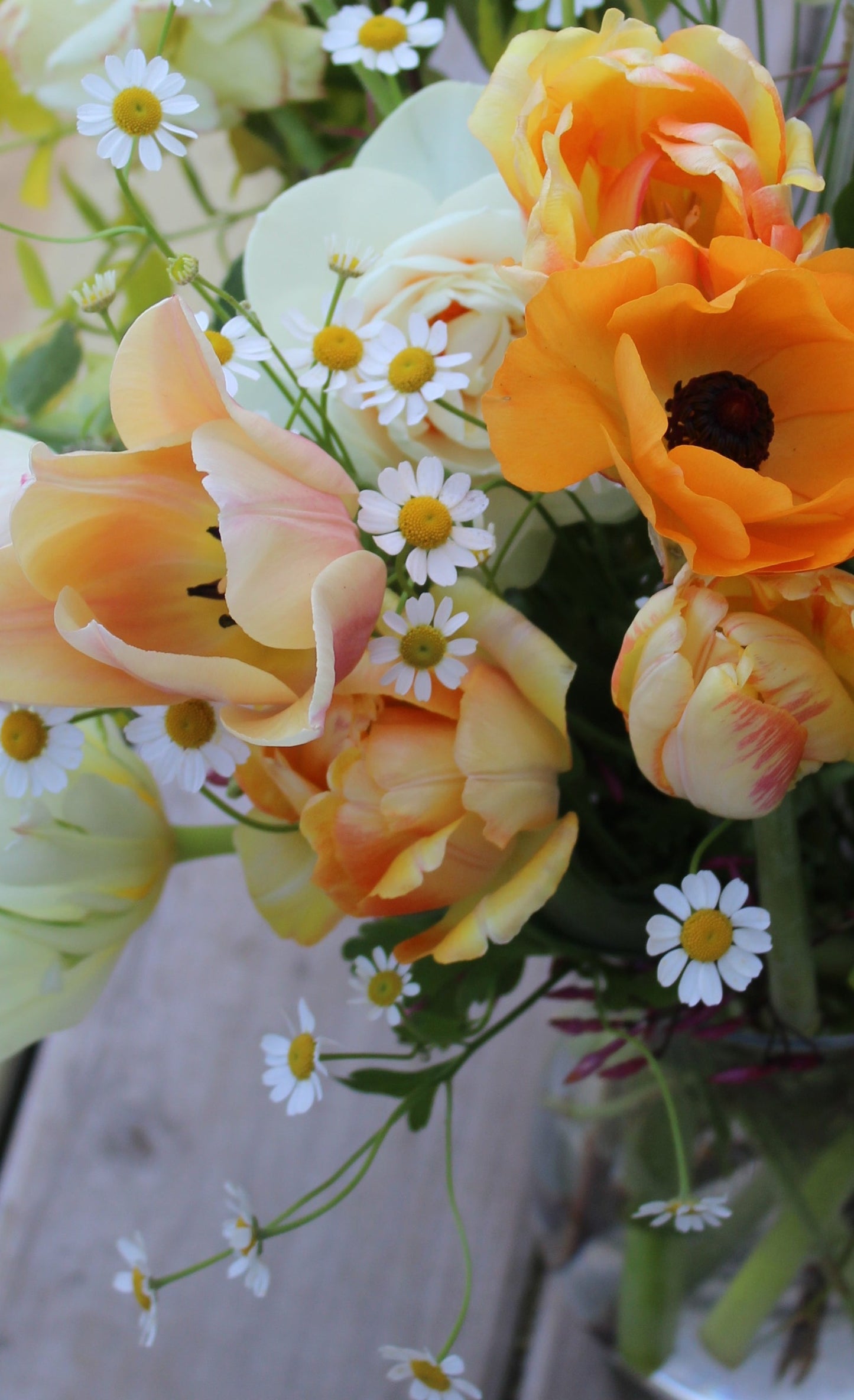 spring flowers