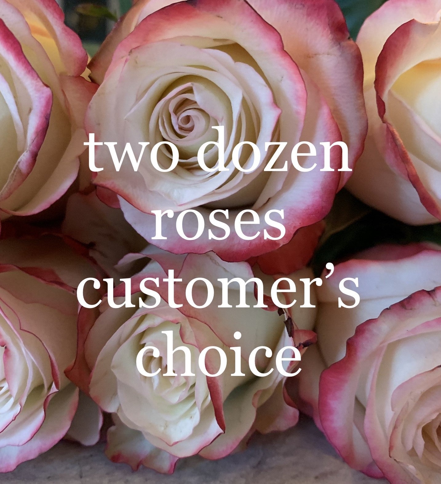 Two Dozen Roses